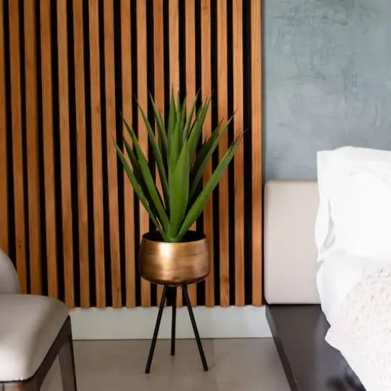 2ft. Agave Plant {4}