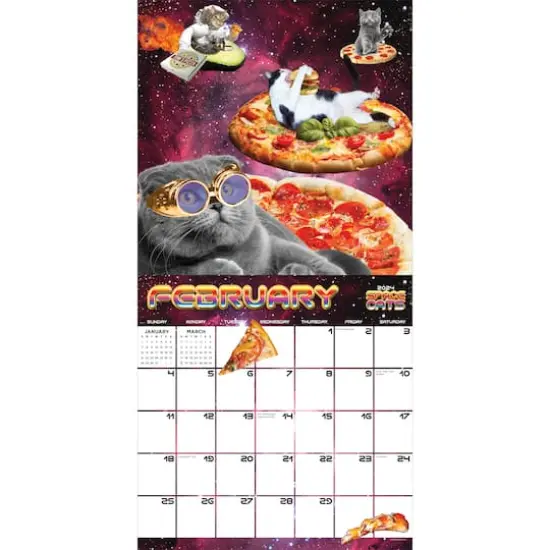 TF Publishing 2024 Space Cats Wall Calendar {4}