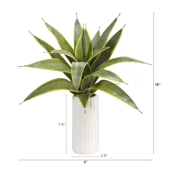 16" Snake Plant in White Planter {3}