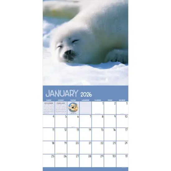 2026 Baby Animals Wall Calendar {3}