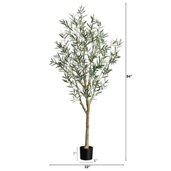 7ft. Potted Greco Olive Tree {6}