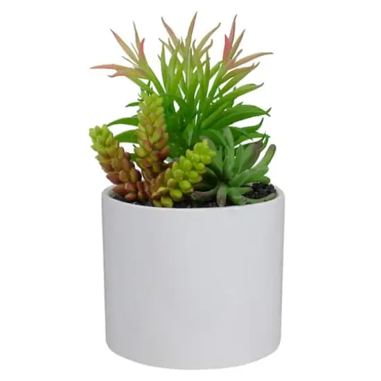 9" Succulent Arrangement in White Ceramic Pot {1}