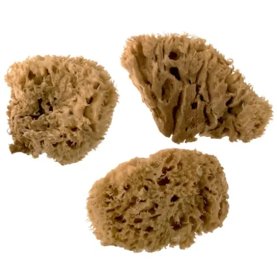Royal Natural Sea Wool Sponge Set {1}