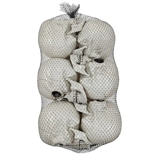 4" Skulls, 6ct. by Ashland&reg; {1}