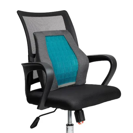 Mind Reader Teal & Black Ergonomic Back Cushion {5}
