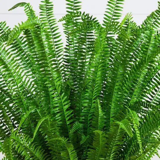 4ft. UV Resistant Artificial Boston Fern Plant with Real Touch Leaves (Indoor/Outdoor) {4}