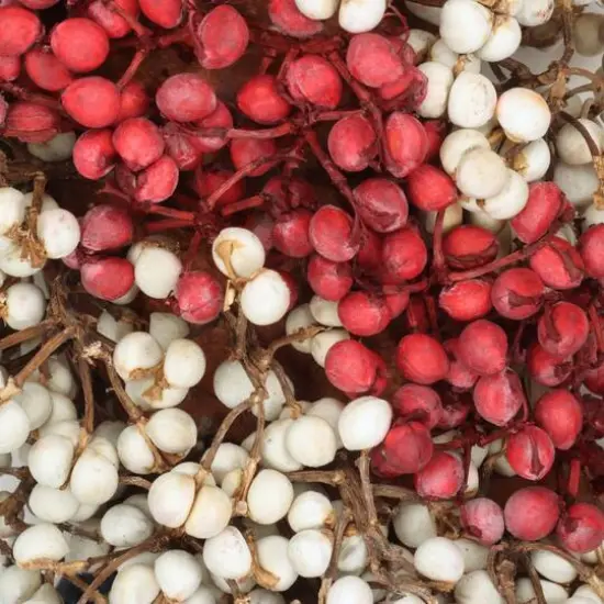 19" Red White & Blue Berries Wreath {5}