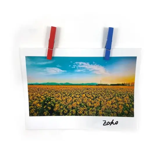 Medium Primary Clothespins by Recollections&trade; {4}