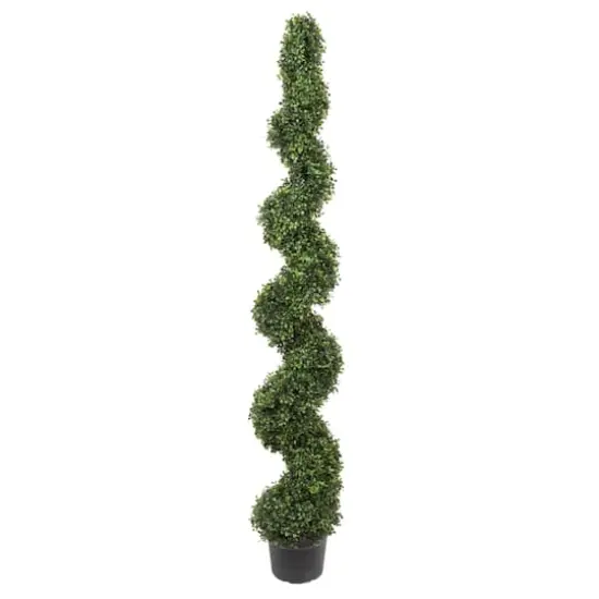 6ft. Potted Boxwood Spiral Tree {1}