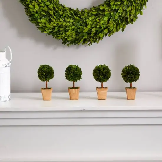 6" Boxwood Topiary Preserved Plant in Ceramic Planter, 4ct. {6}