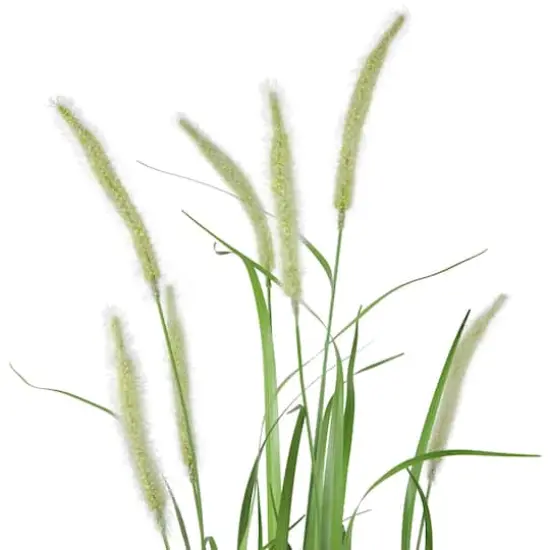 3ft. Potted Green Artificial Onion Grass Plant {4}