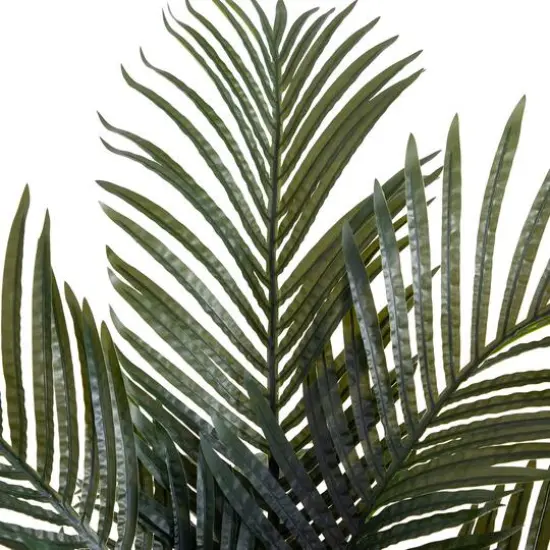 6ft. Potted Double-Stalk Golden Cane Palm Tree {9}