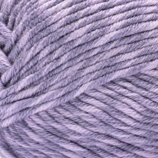 Caron&reg; Simply Me Montage&trade; Yarn Amethyst {3}