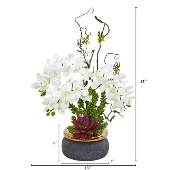 21" Potted Moth Orchid & Succulent Arrangement White {3}