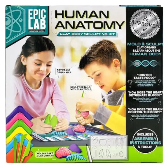 ArtSkills&reg; Epic Lab Human Anatomy STEM Kit {3}