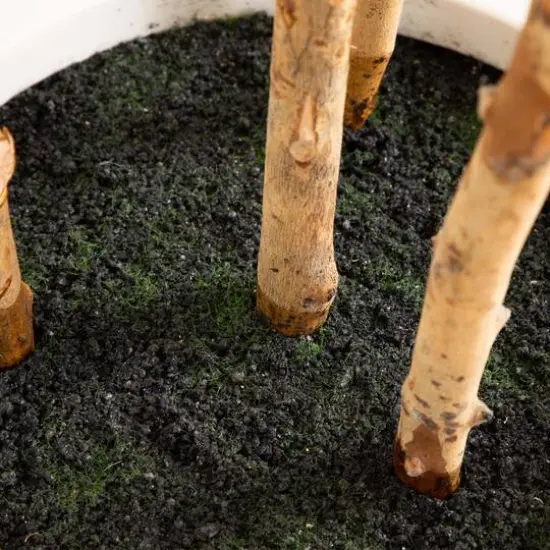 6ft. Fiddle Leaf Tree in Decorative White Planter {9}