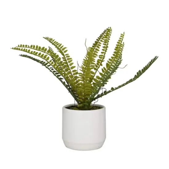 Green Ceramic Contemporary Artificial Foliage, 12" x 15" x 10" {1}