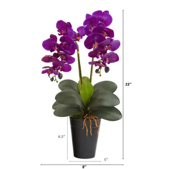 23" Double Orchid Arrangement In Vase Assorted {3}