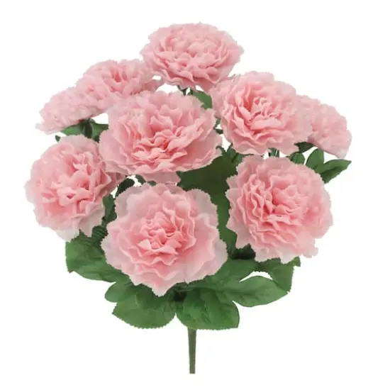 18" Pink Carnation Bush by Ashland&reg; {3}