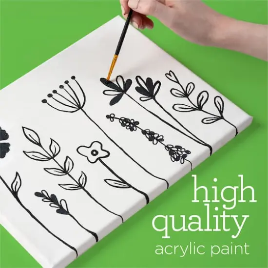 Apple Barrel&reg; 16oz. Acrylic Black & White Paint Set {6}