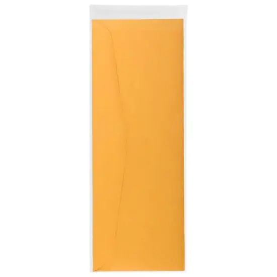 JAM Paper Clear 4.375" x 12.25" Clear No. 12 Policy Cello Sleeve Envelopes, 100ct. {6}