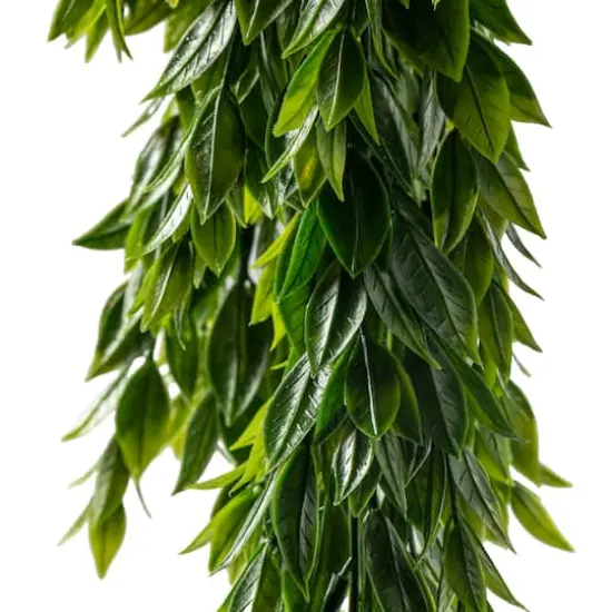 Hanging Ruscus Bush by Ashland&reg; {5}