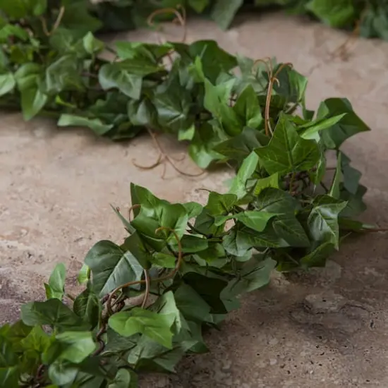 6ft. Chain Ivy Garland by Ashland&reg; {3}