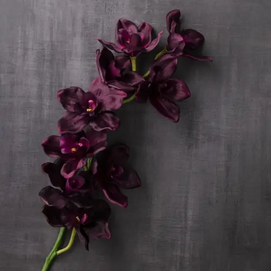 Tropical Cymbidium Spray by Ashland&reg; {3}