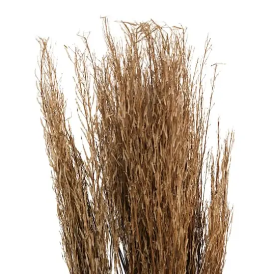 42" Brown Dried Natural Mustard Plant Foliage {5}