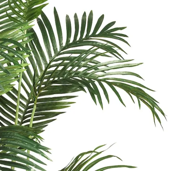 6ft. Potted Paradise Palm {4}