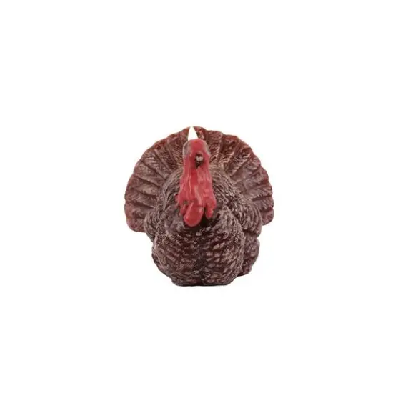 4.5" Turkey LED Candle by Ashland&reg; {6}
