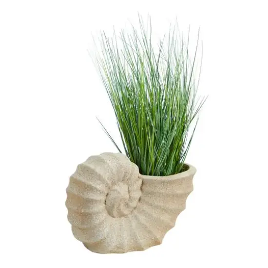 21" Onion Grass Plant in Shell-Shaped Planter {1}