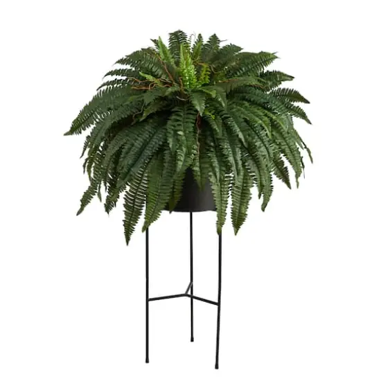 51" Boston Fern Plant in Black Planter with Stand {1}