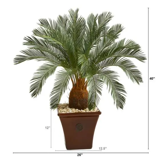 3.5ft. Cycas Tree in Brown Planter {3}