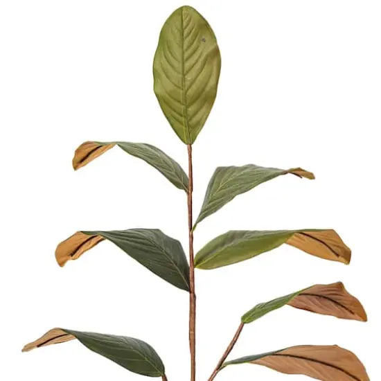Artificial Green Magnolia Spray, 3ct. {4}