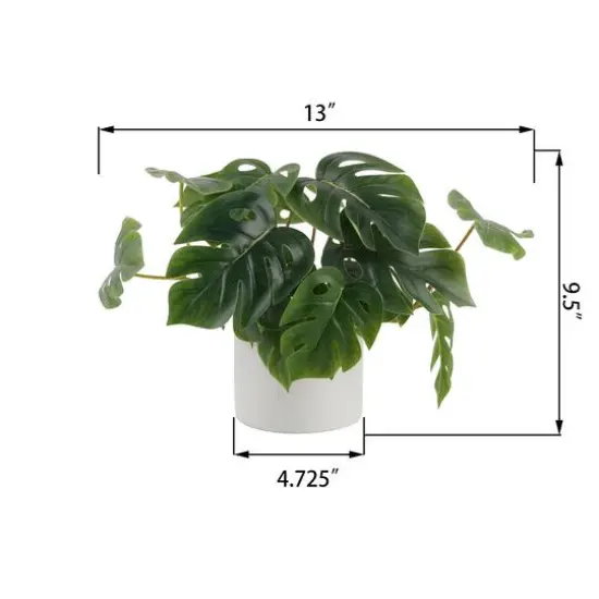 Flora Bunda&reg; 13" Trailing Split Leaf Philodendron in White Ceramic Pot {4}