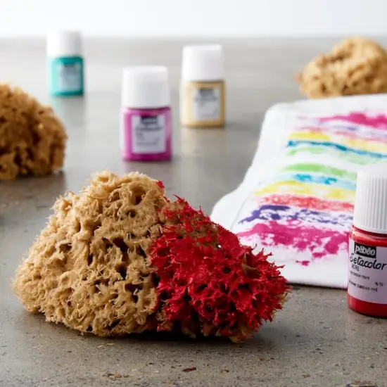 Royal Natural Sea Wool Sponge Set {3}