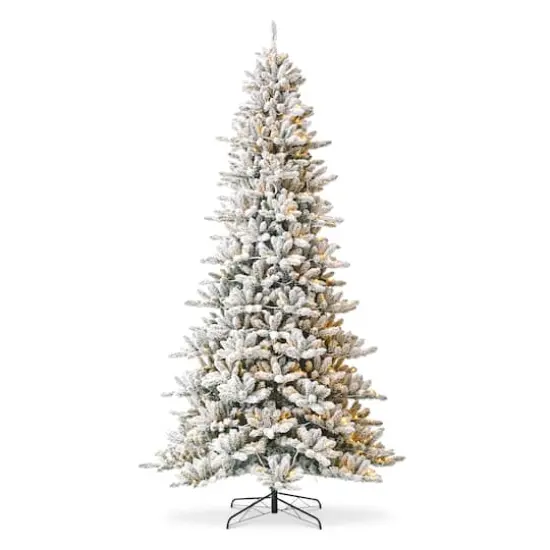 10ft. Pre-Lit Flocked Fir Artificial Christmas Tree, Warm White Lights {1}