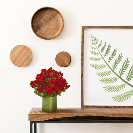 20" Red Geranium in Metal Planter {3}