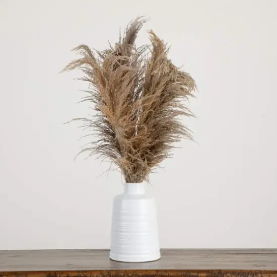 2.5ft. Dried Natural Pampas Arrangement in Ceramic Vase {5}