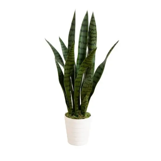 2ft. UV Resistant Artificial Snake Plant in White Decorative Planter {1}