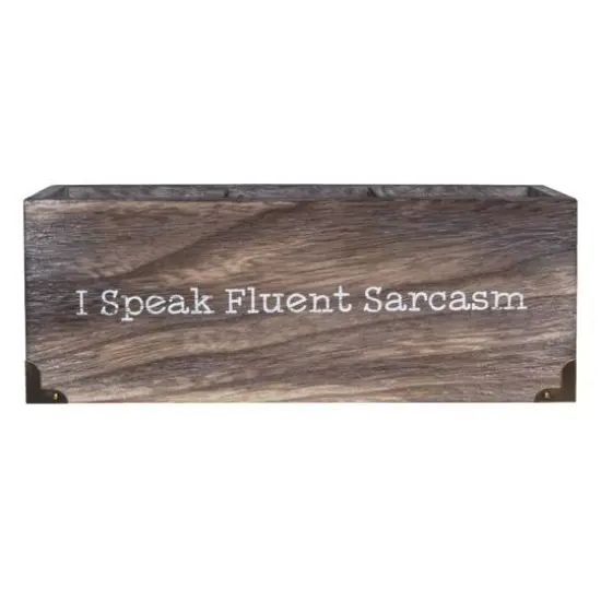 I Speak Fluent Sarcasm Desk Organizer {8}
