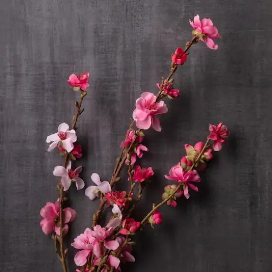 Peach Blossom Stem by Ashland&reg; Pink {3}