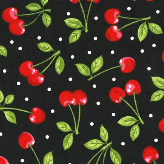 Robert Kaufman Summertime Cotton Fabric {1}