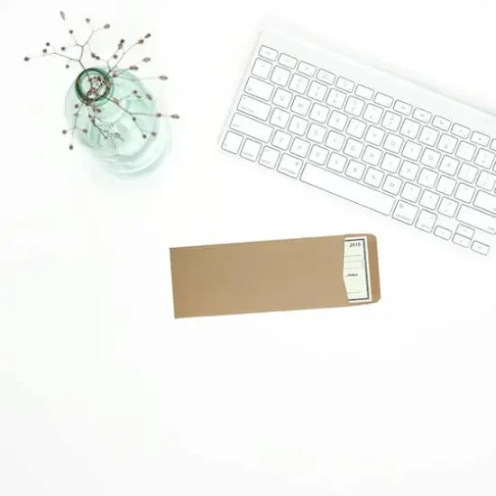 JAM Paper Colored #10 Policy Business Premium Envelopes, 50ct. Brown Kraft {5}