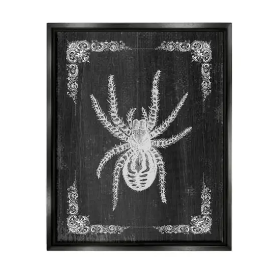Stupell Industries Black & White Spider Framed Floater Canvas Wall Art {1}