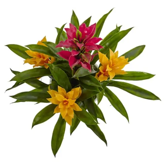 17" Tropical Bromeliad Plant in White Swirl Vase {3}