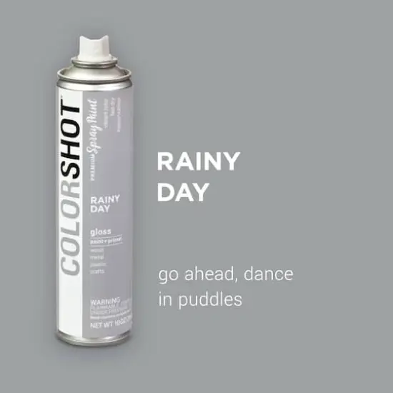 COLORSHOT&reg; Premium Gloss Spray Paint Rainy Day {3}
