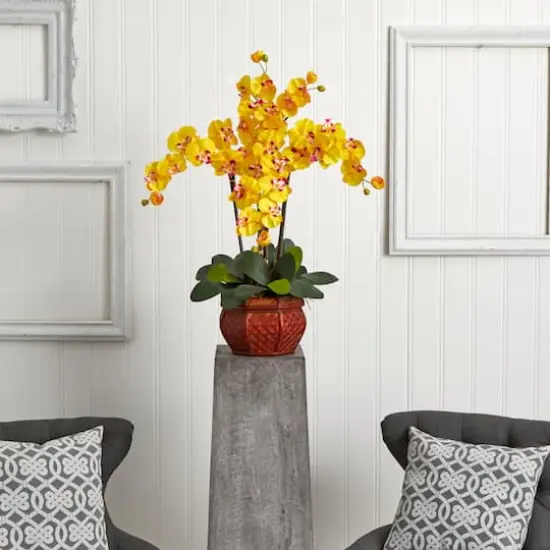 2.5ft. Yellow Moth Orchid Arrangement with Decorative Vase {3}