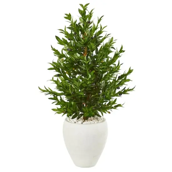 3.5ft. Olive Cone Topiary Tree in White Planter {1}